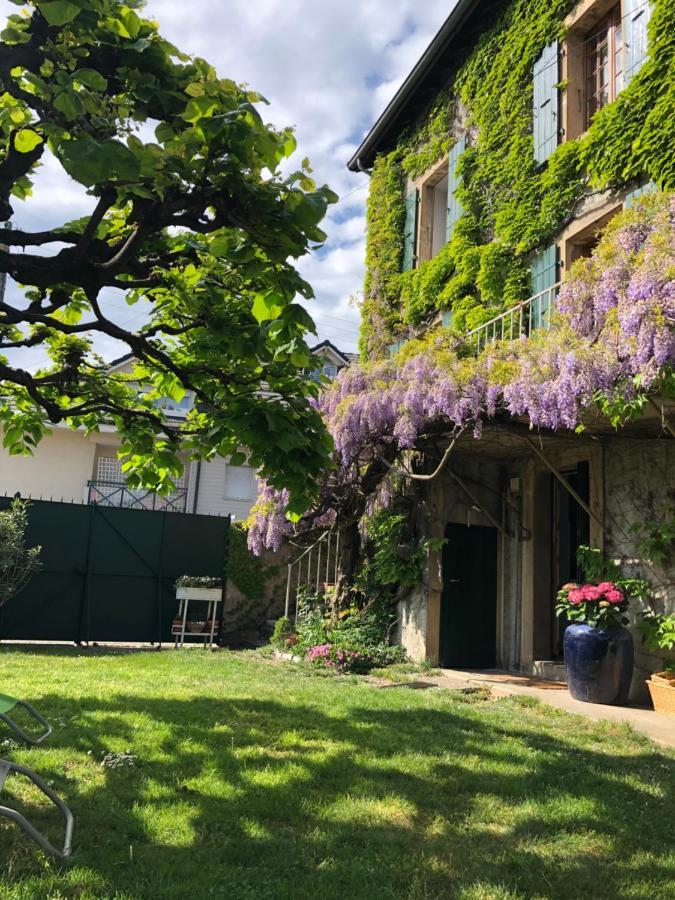 Le Clos Des Fontaines, A 5 Mn Du Lac 또농-레-방 외부 사진